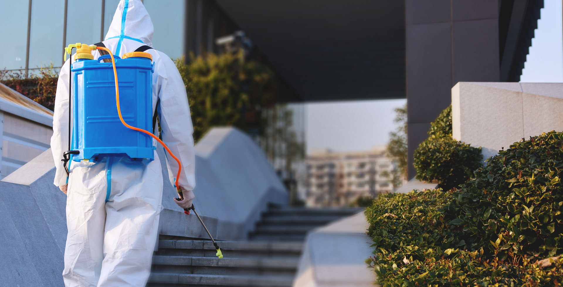 花蓮消毒除蟲公司