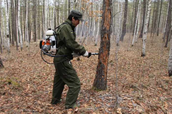 花蓮蟲害防治作業