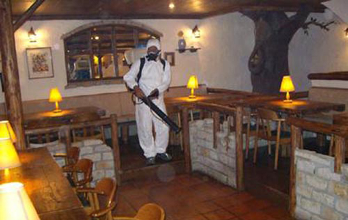 花蓮餐廳消毒除蟲