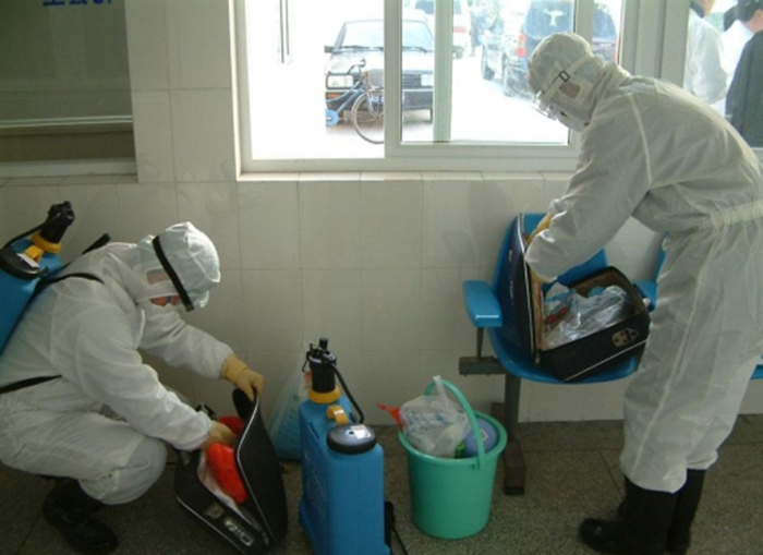 花蓮住宅蟑螂防治