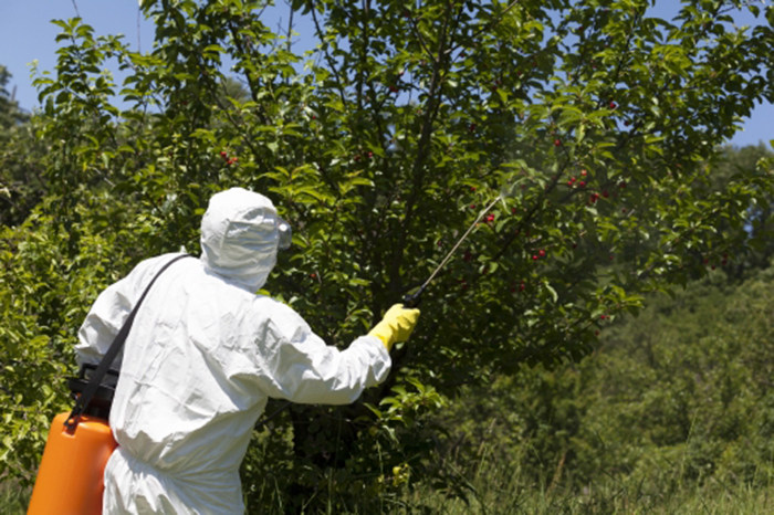 花蓮蚊蠅防治處理