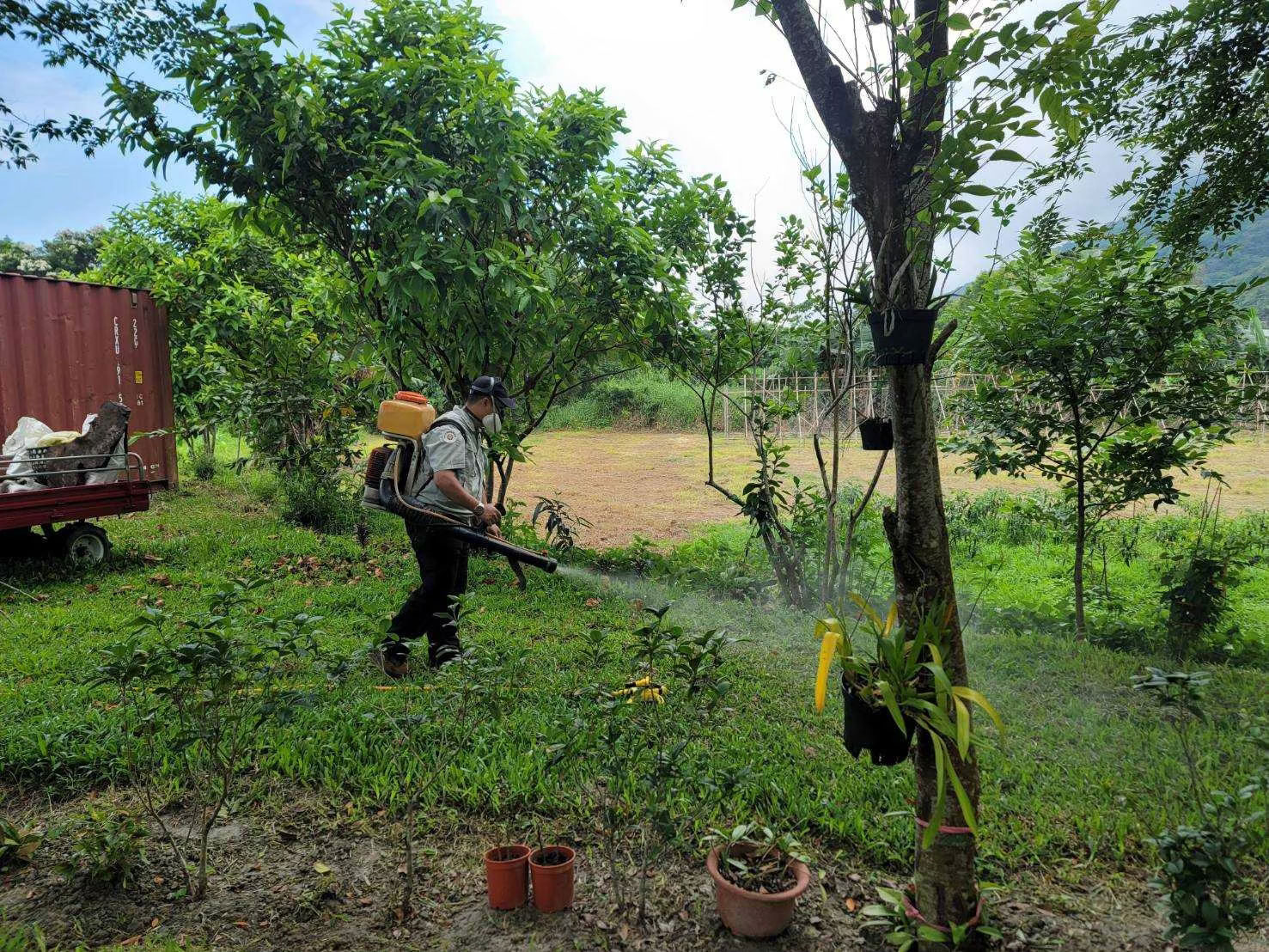花蓮庭院區域戶外消毒作業