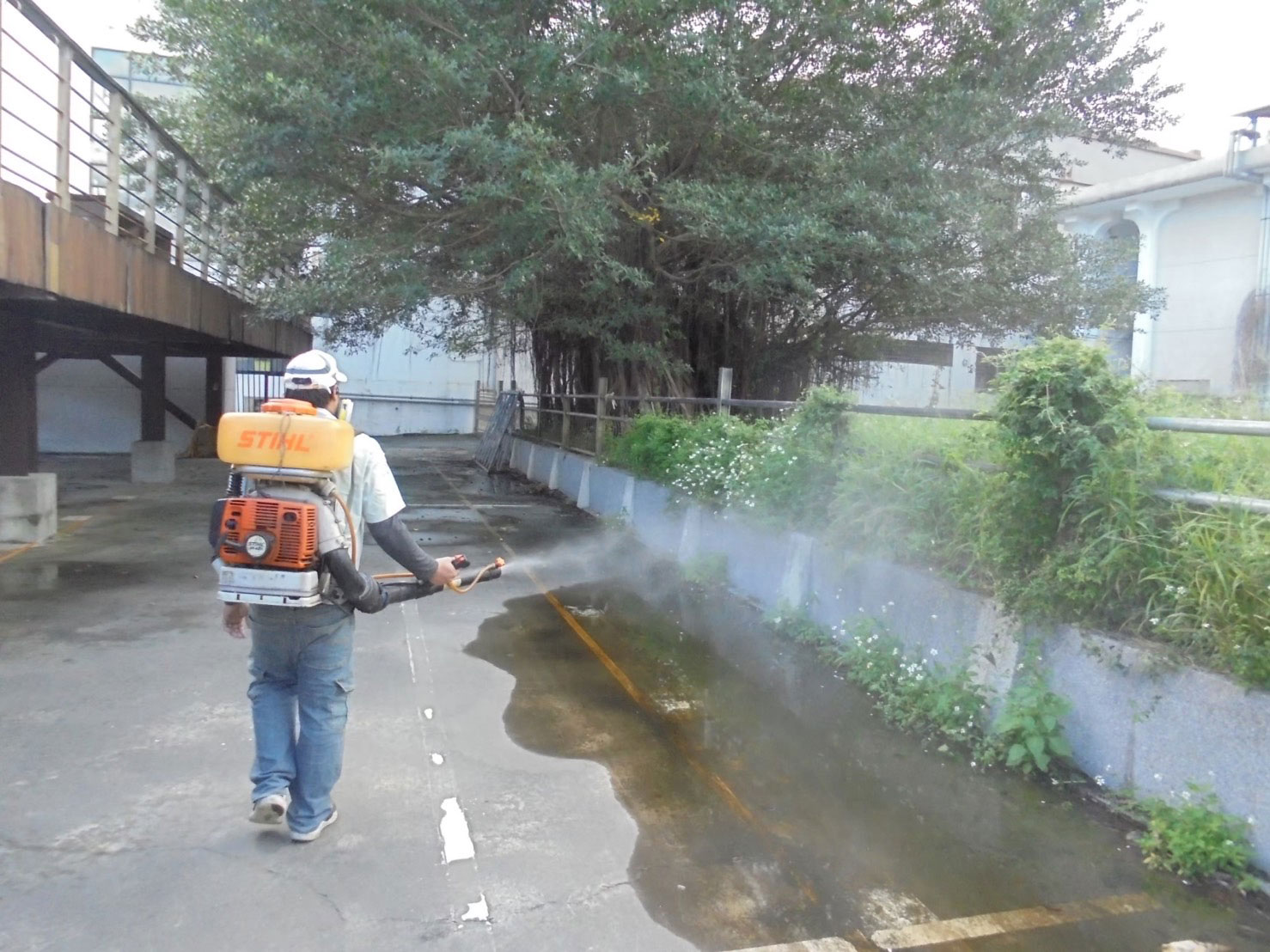 花蓮社區全面性病媒防治