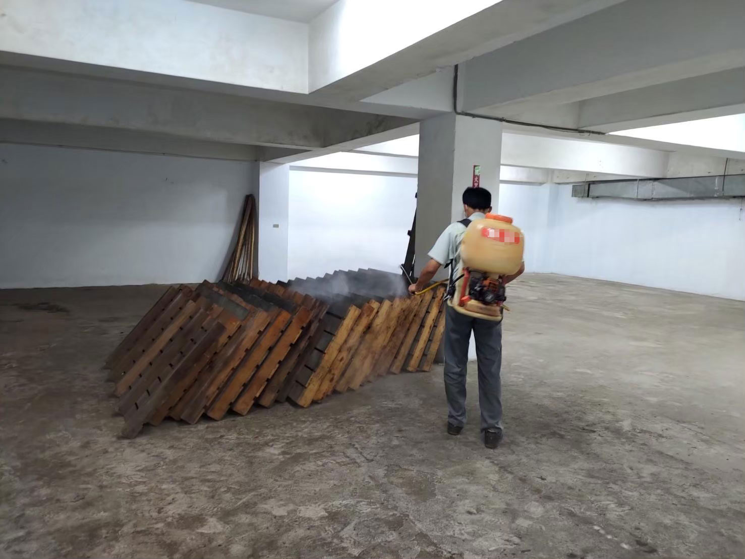 花蓮地下室白蟻與蛀蟲防治