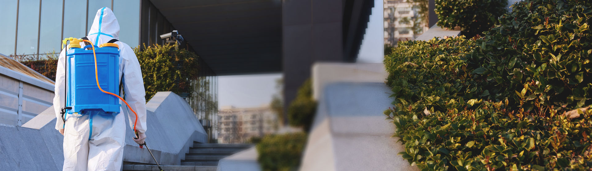 花蓮消毒除蟲公司