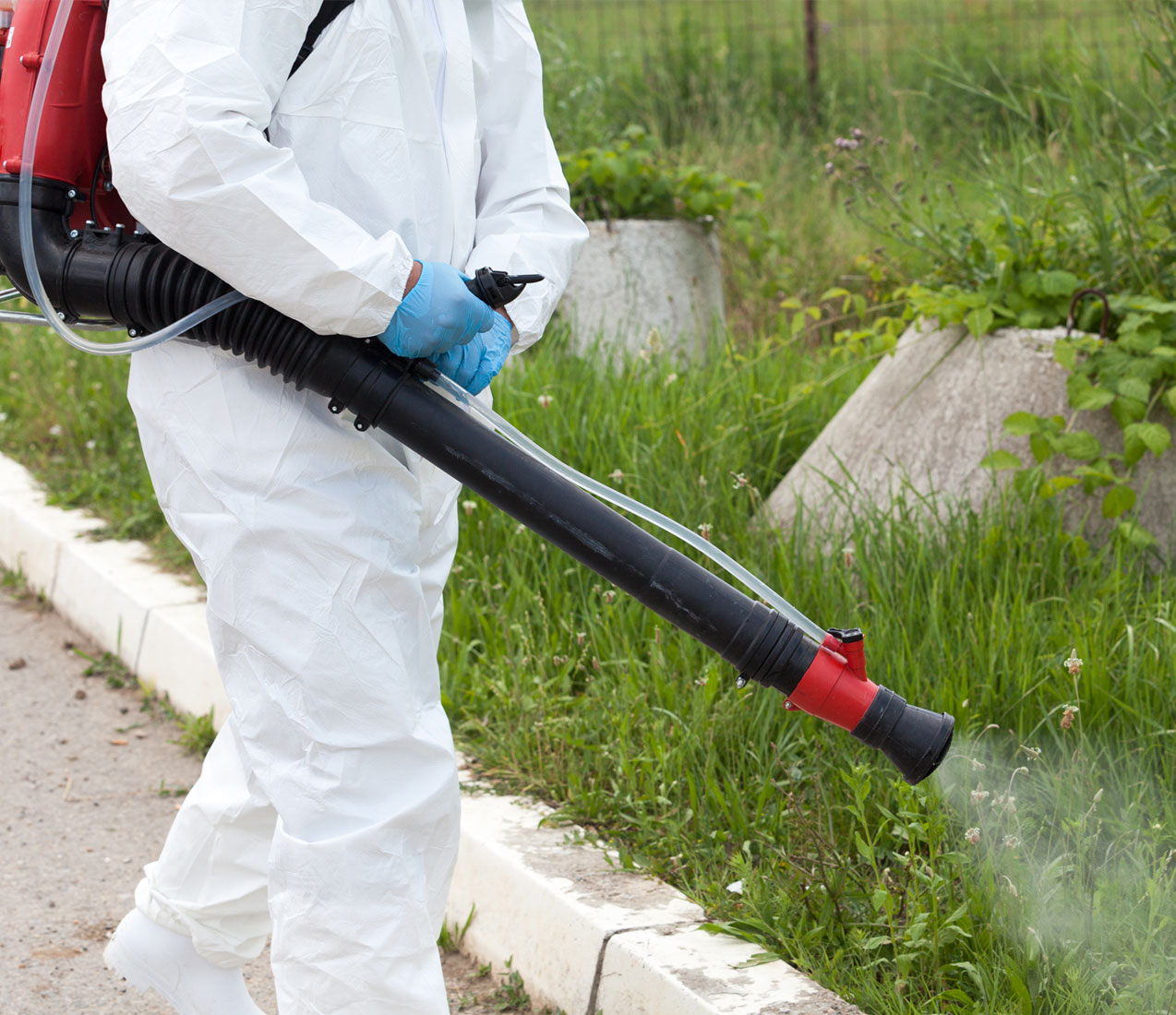 各類病媒害蟲防治